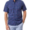 Casual Madras Check Short Sleeve Shirt In Navy